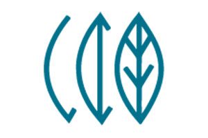 Logo R Capital